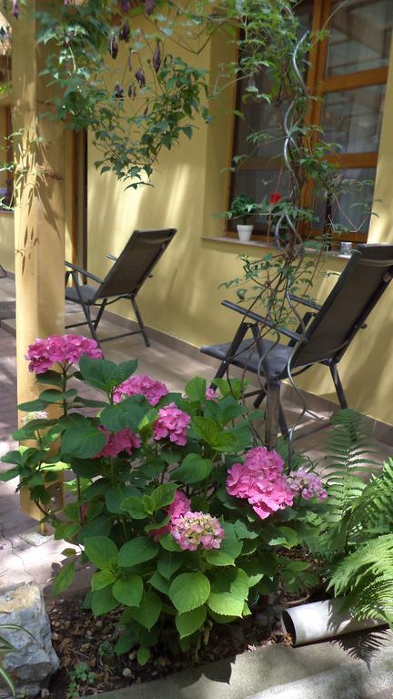 אגר Oazis Apartman מראה חיצוני תמונה